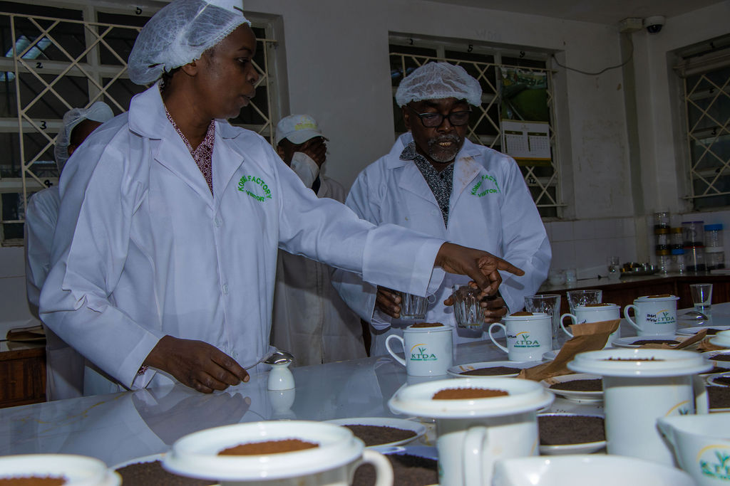 Inside the Kobel Tea Factory — photo 1