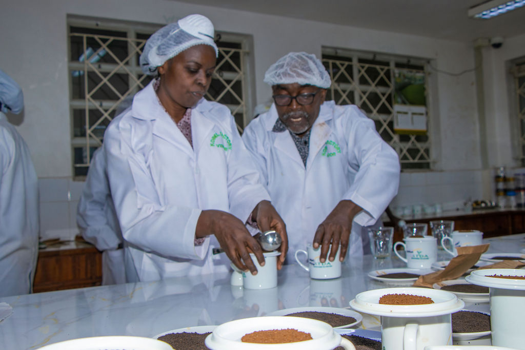 Inside the Kobel Tea Factory — photo 2