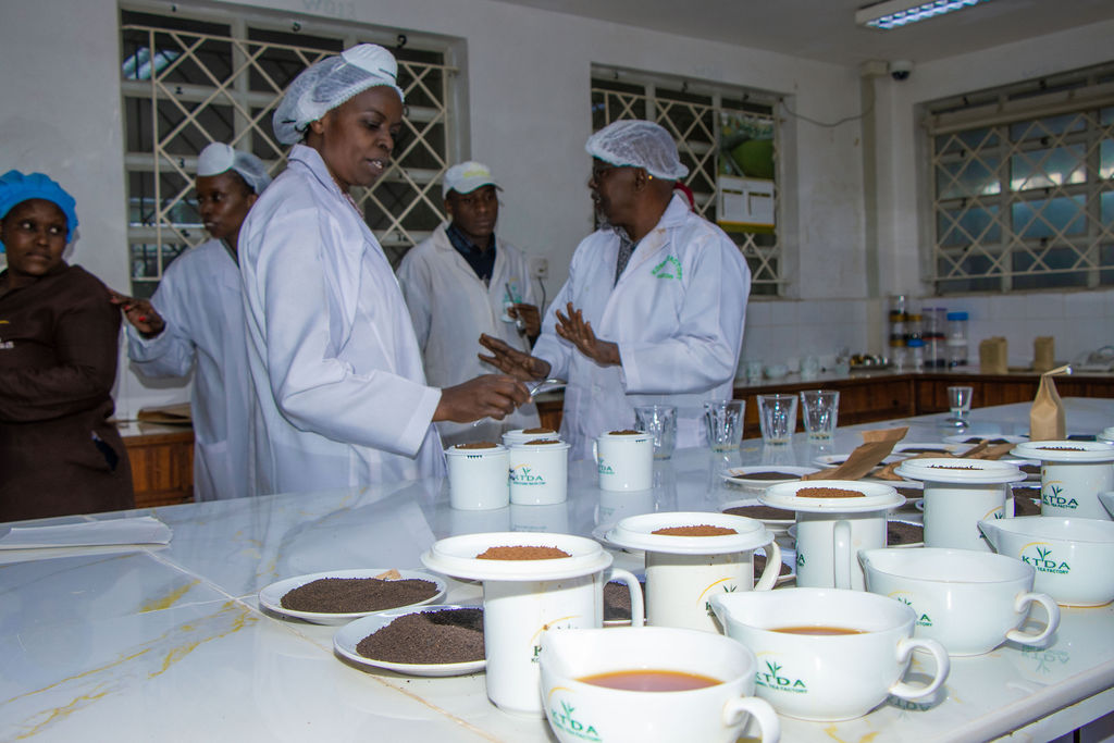 Inside the Kobel Tea Factory — photo 3