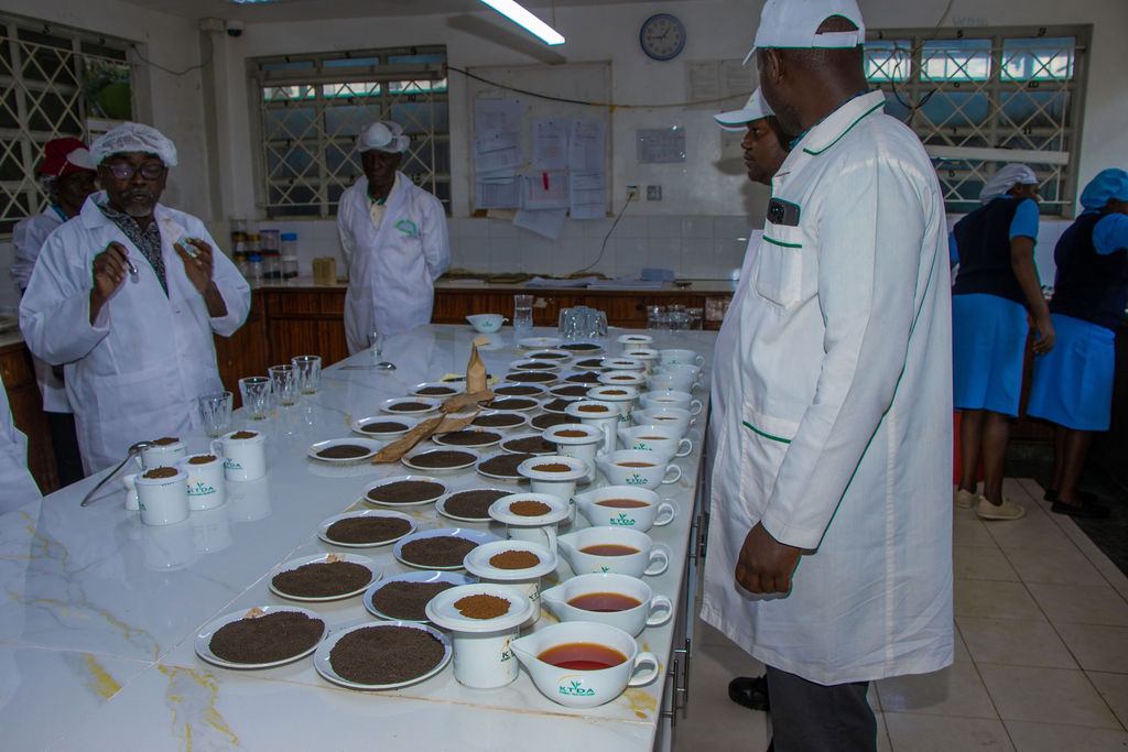Inside the Kobel Tea Factory — photo 4