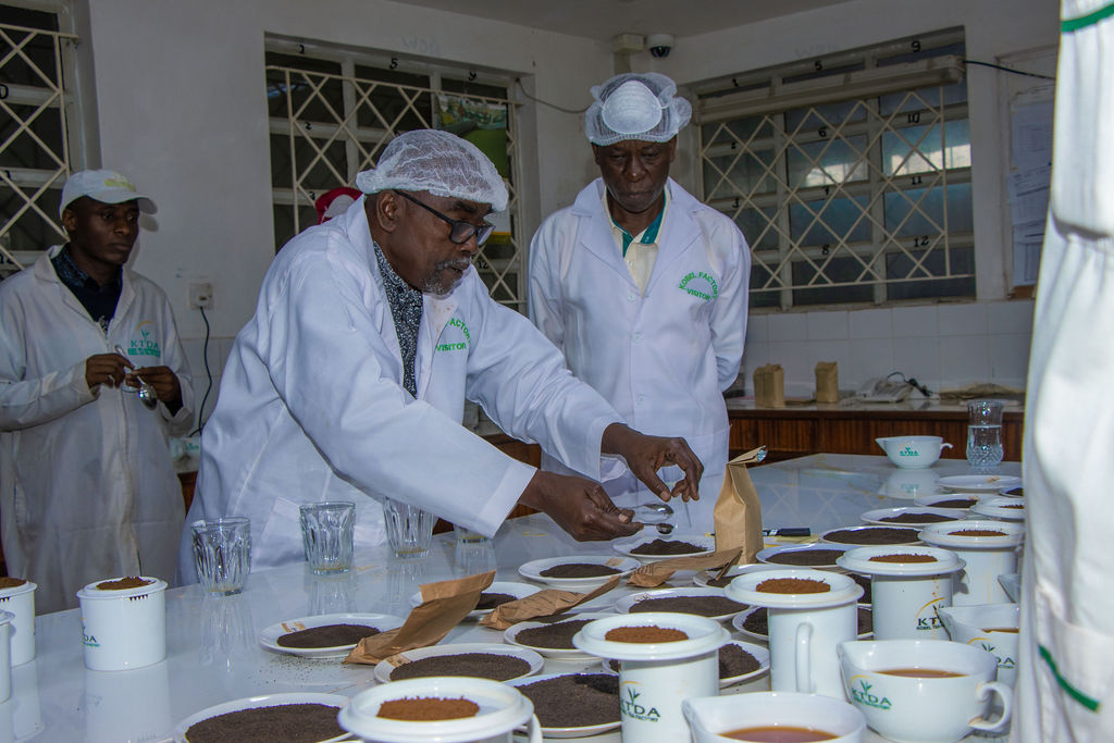 Inside the Kobel Tea Factory — photo 5