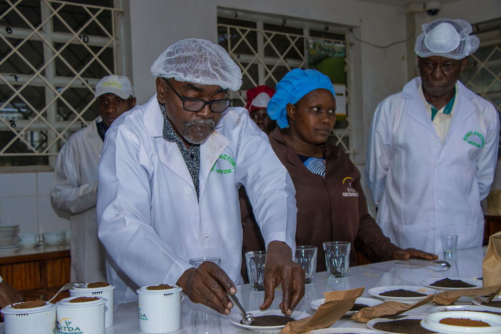 Inside the Kobel Tea Factory — photo 7