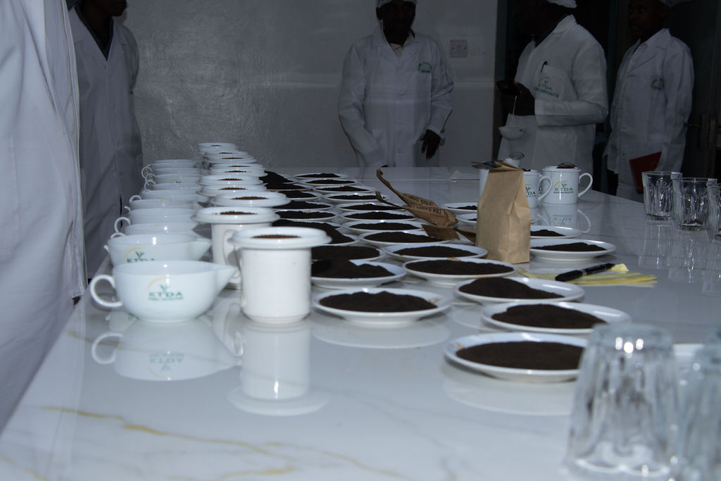 Inside the Kobel Tea Factory — photo 10