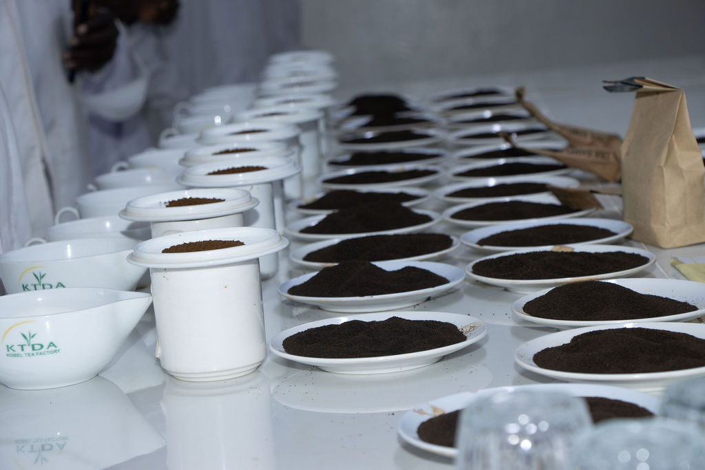 Inside the Kobel Tea Factory — photo 11
