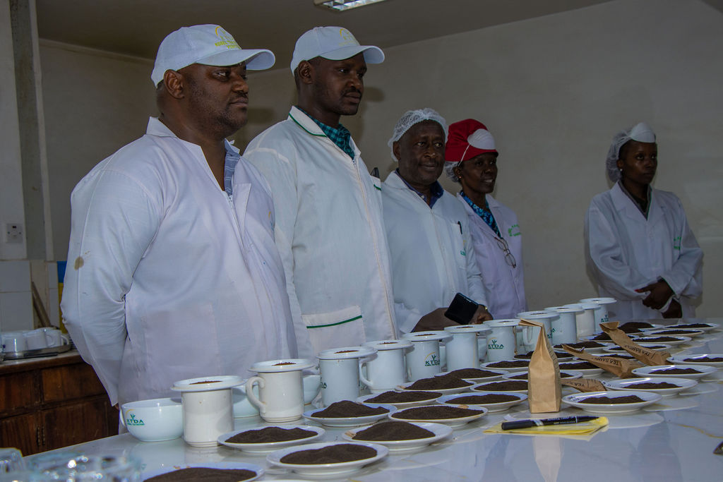 Inside the Kobel Tea Factory — photo 12