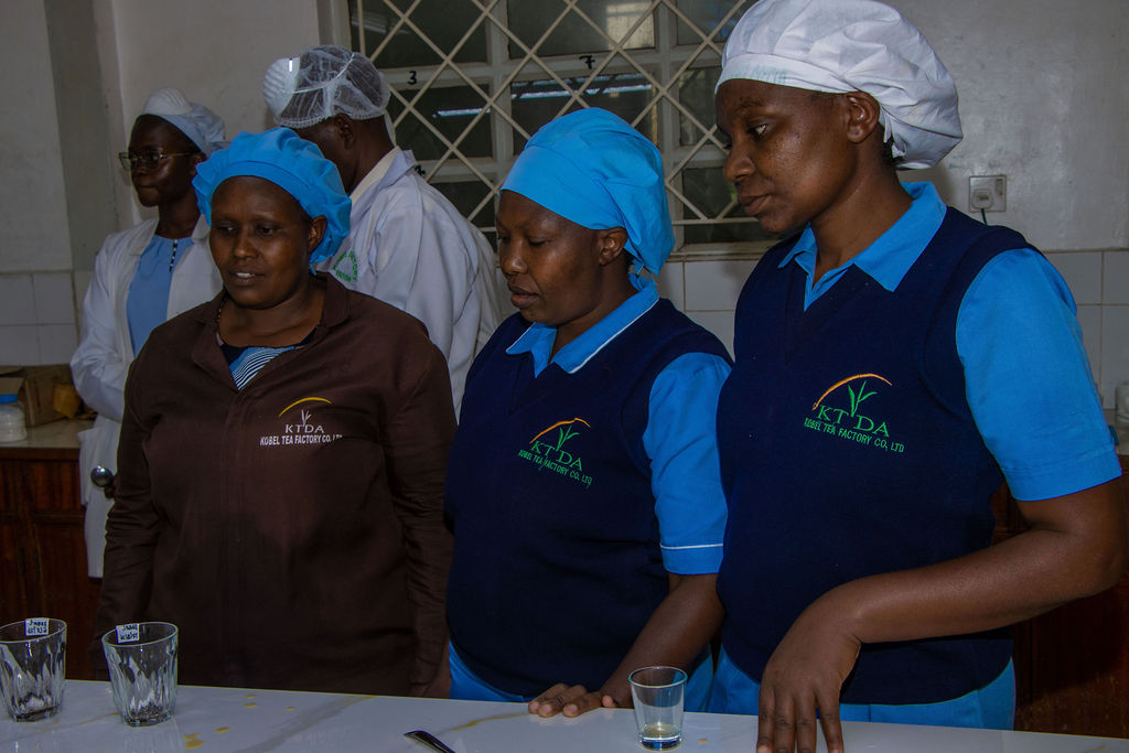 Inside the Kobel Tea Factory — photo 16