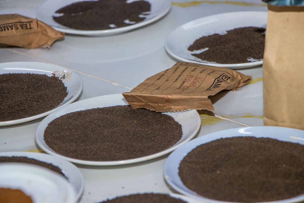 Inside the Kobel Tea Factory — photo 17