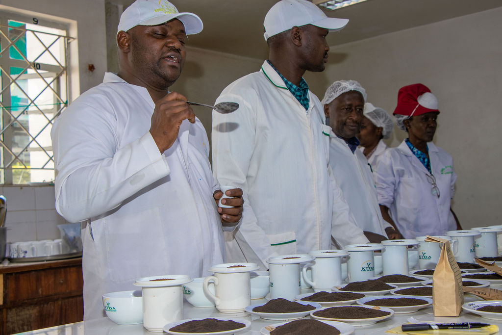Inside the Kobel Tea Factory — photo 18