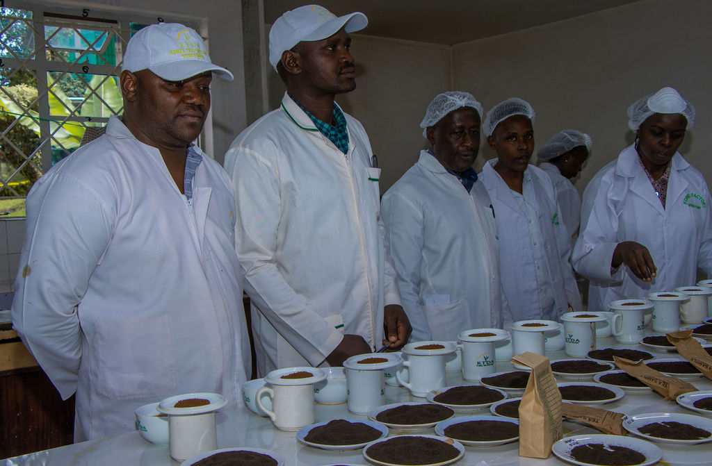 Inside the Kobel Tea Factory — photo 20