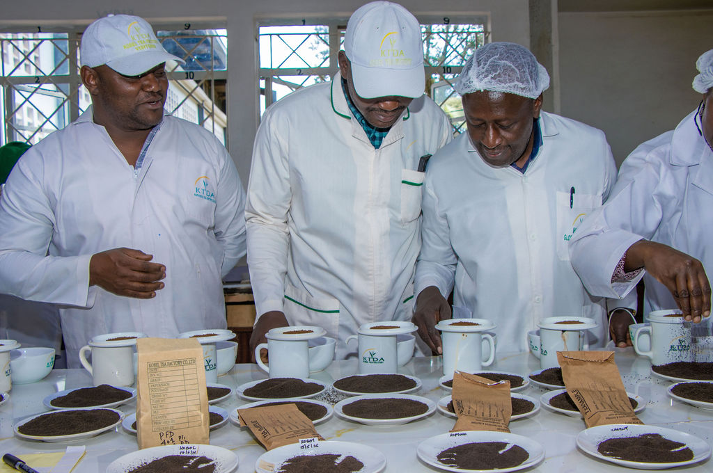 Inside the Kobel Tea Factory — photo 21