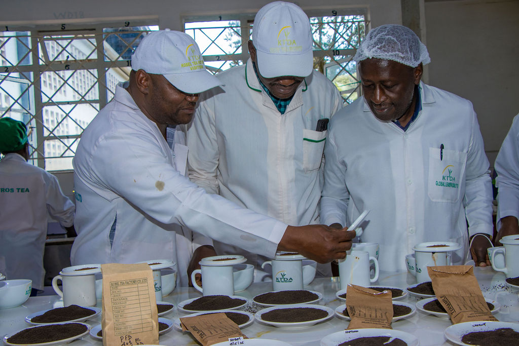 Inside the Kobel Tea Factory — photo 22
