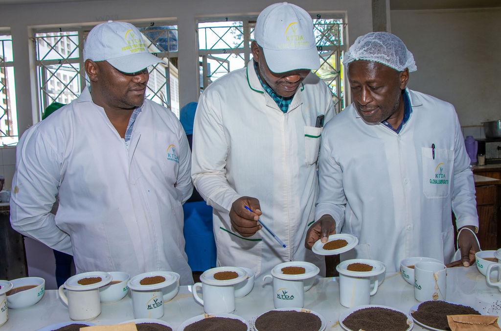 Inside the Kobel Tea Factory — photo 23