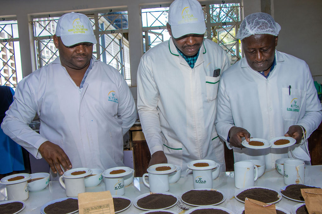 Inside the Kobel Tea Factory — photo 25