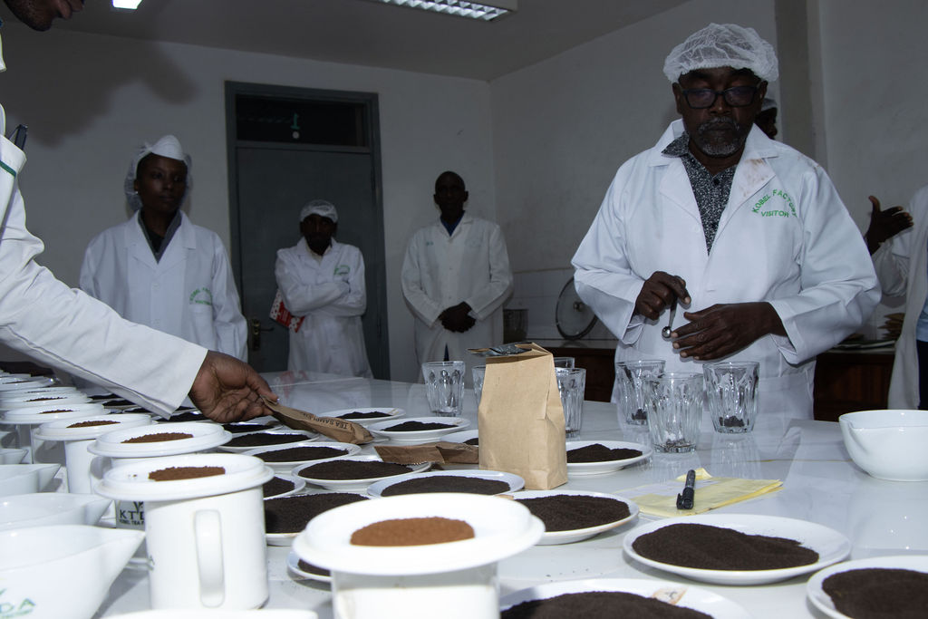 Inside the Kobel Tea Factory — photo 27