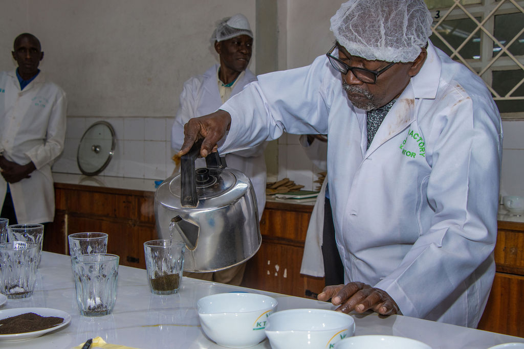 Inside the Kobel Tea Factory — photo 29
