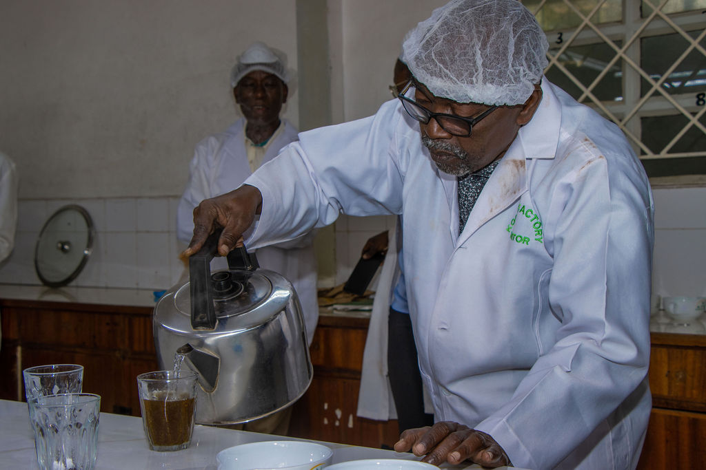 Inside the Kobel Tea Factory — photo 30
