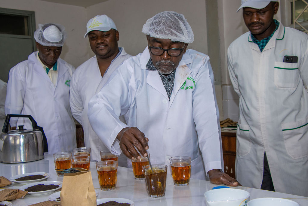 Inside the Kobel Tea Factory — photo 32