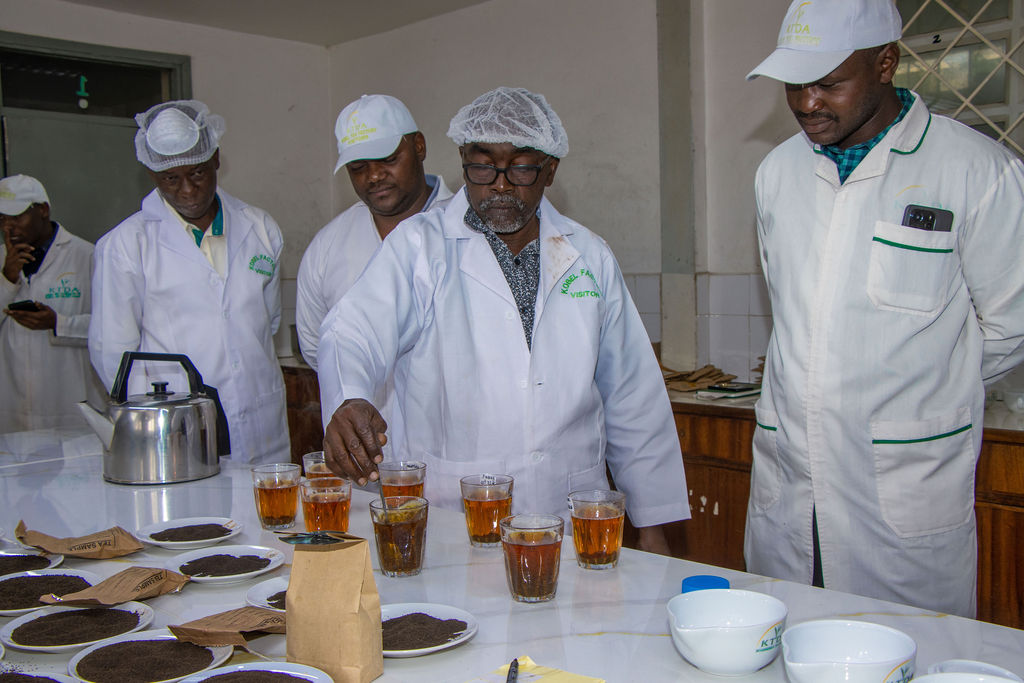 Inside the Kobel Tea Factory — photo 33