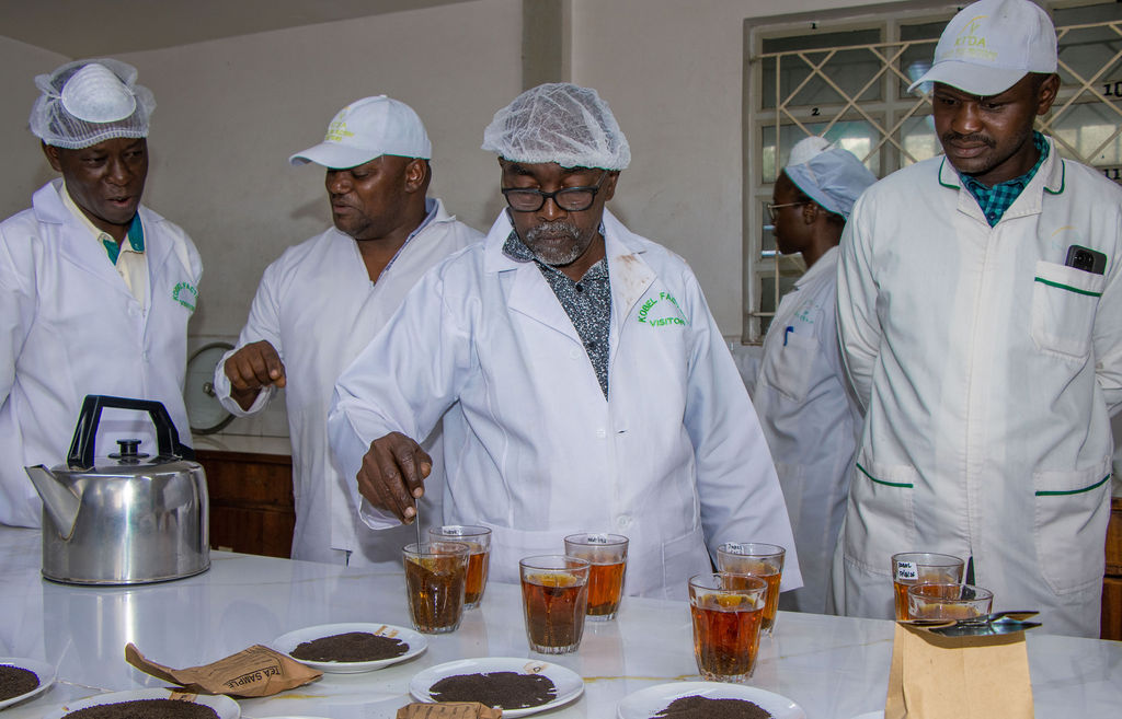 Inside the Kobel Tea Factory — photo 34