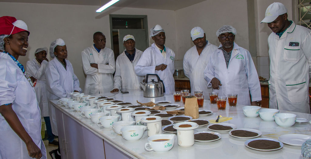 Inside the Kobel Tea Factory — photo 36