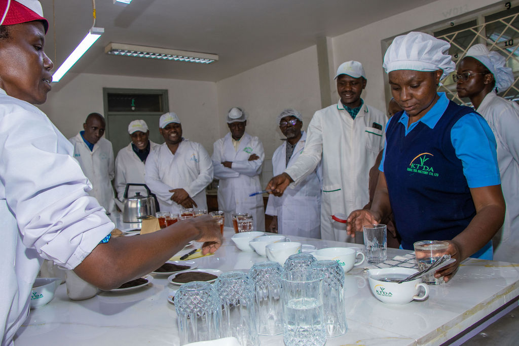 Inside the Kobel Tea Factory — photo 39