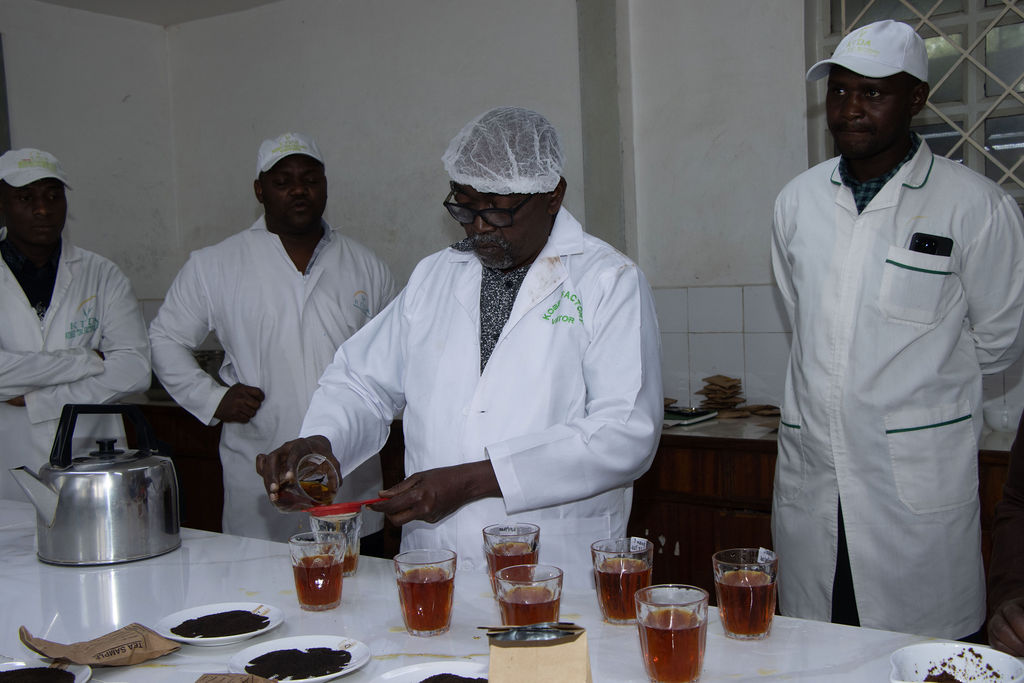 Inside the Kobel Tea Factory — photo 41