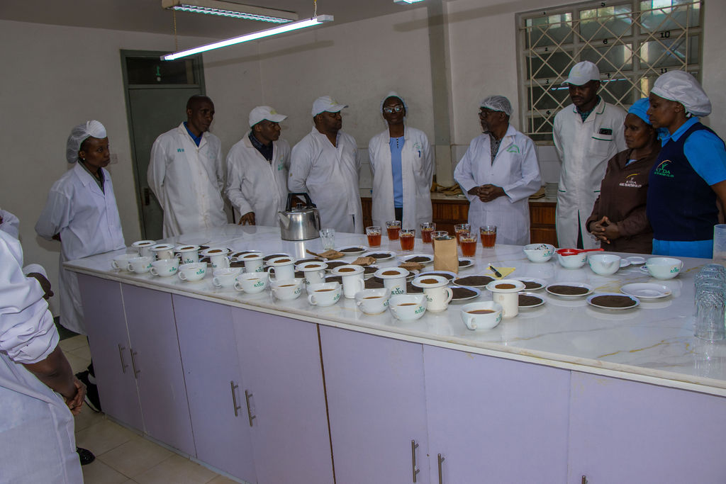 Inside the Kobel Tea Factory — photo 44