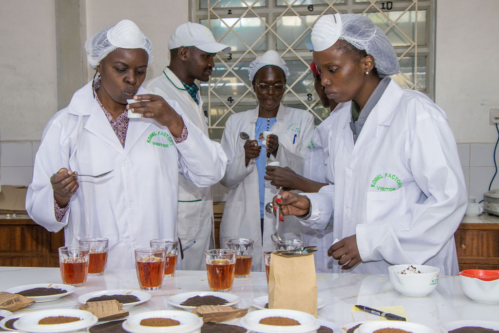 Inside the Kobel Tea Factory — photo 46