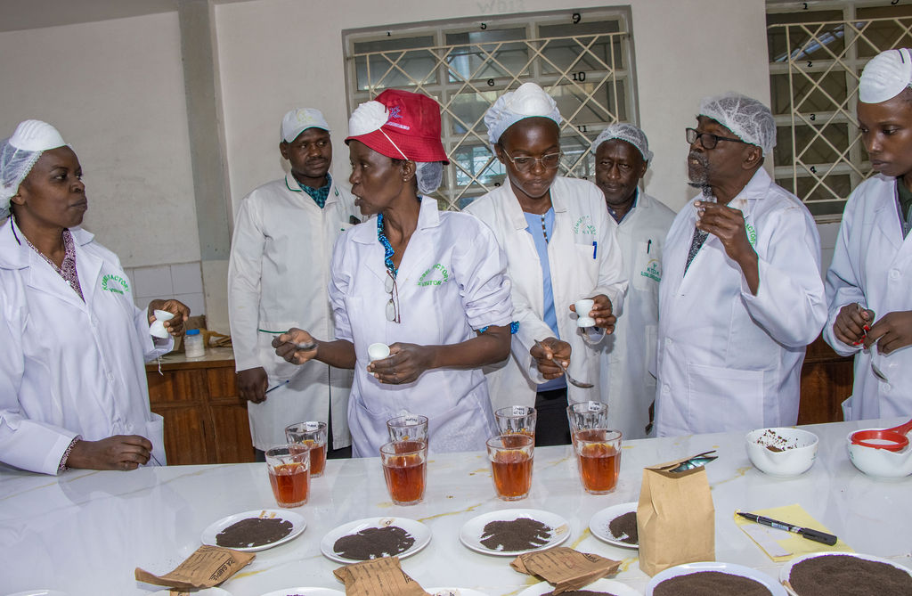 Inside the Kobel Tea Factory — photo 47
