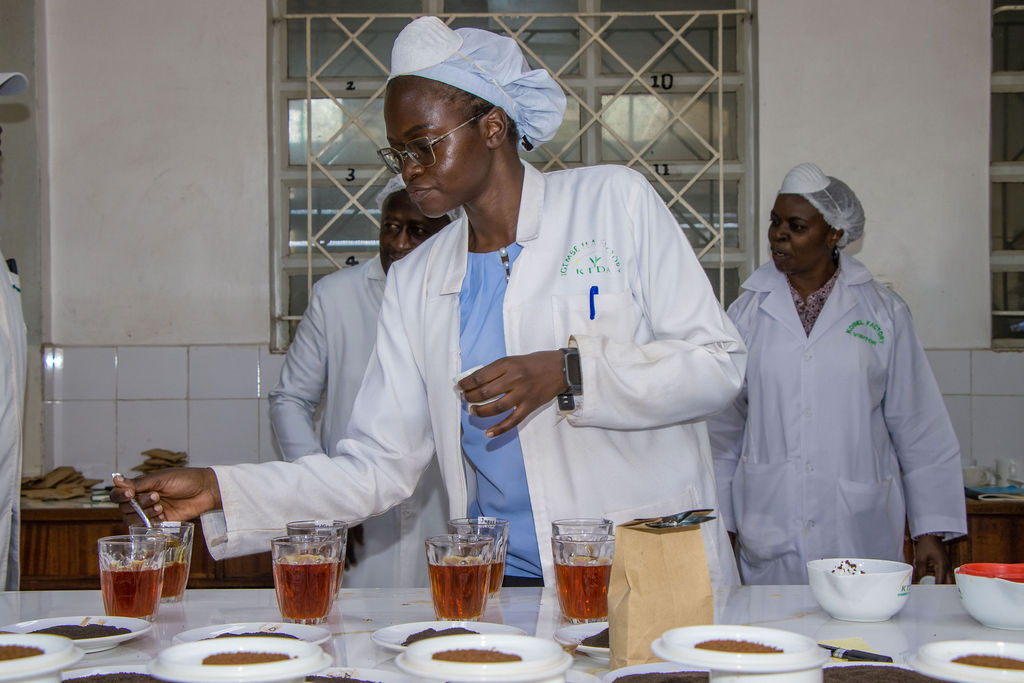 Inside the Kobel Tea Factory — photo 48