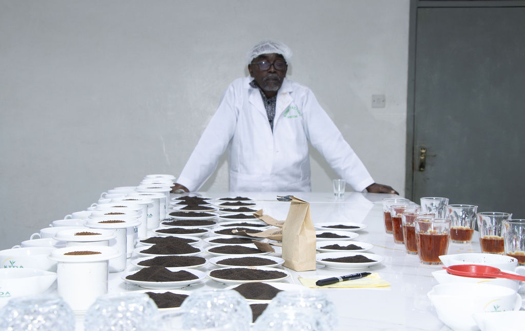 Inside the Kobel Tea Factory — photo 58