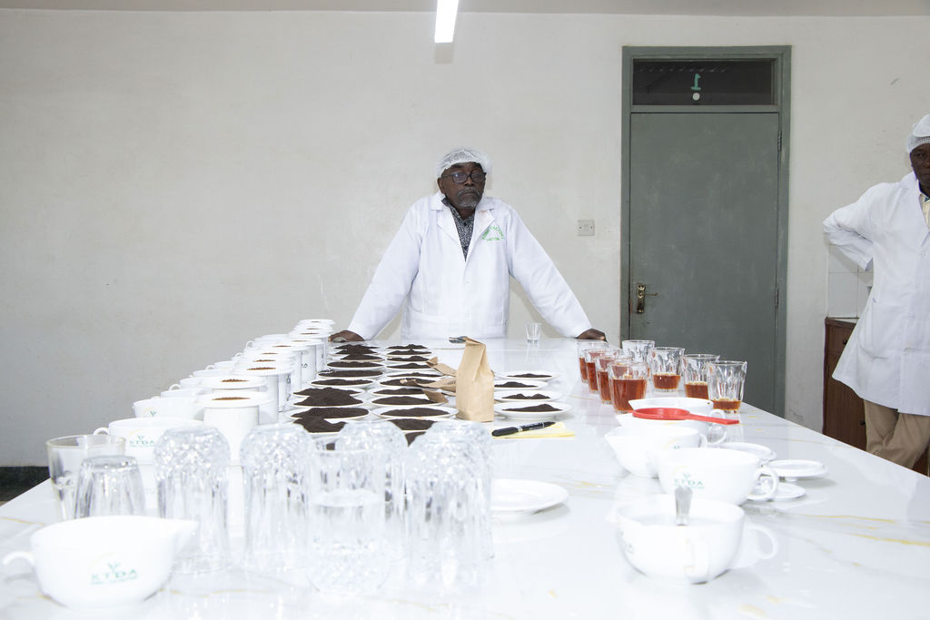 Inside the Kobel Tea Factory — photo 59