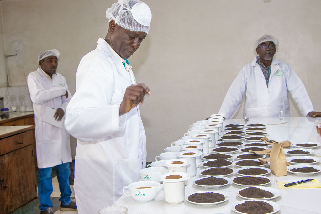 Inside the Kobel Tea Factory — photo 60