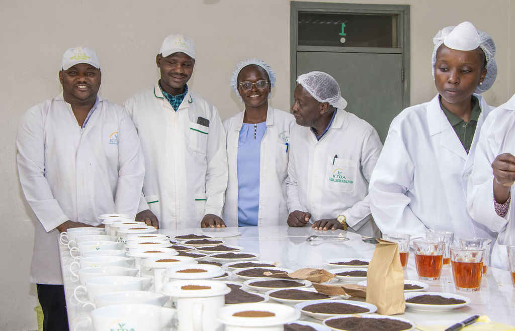 Inside the Kobel Tea Factory — photo 67