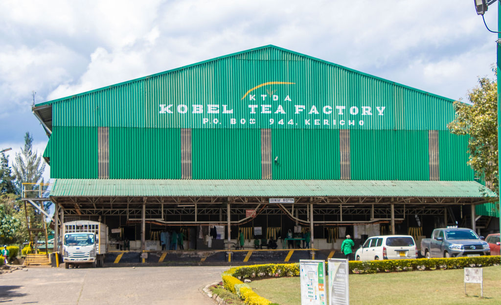 Inside the Kobel Tea Factory — photo 71