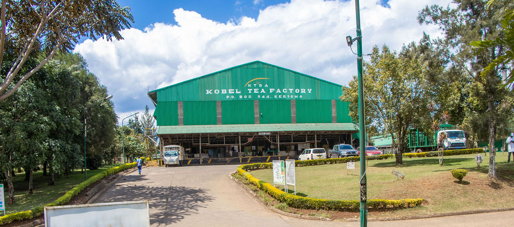 Inside the Kobel Tea Factory — photo 72