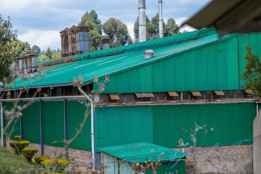 Inside the Kobel Tea Factory — photo 77