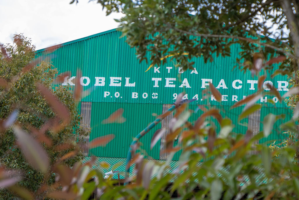 Inside the Kobel Tea Factory — photo 78