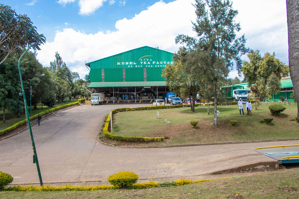 Inside the Kobel Tea Factory — photo 80