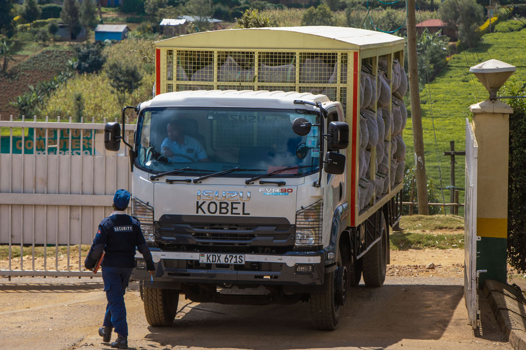 Inside the Kobel Tea Factory — photo 85