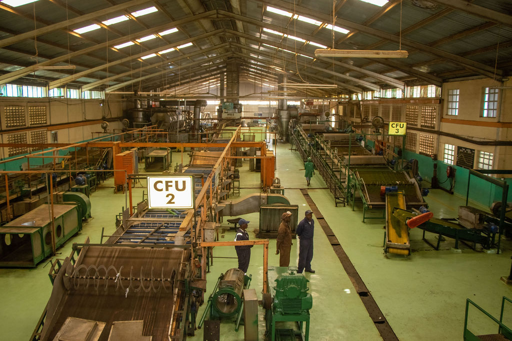 Inside the Kobel Tea Factory — photo 91