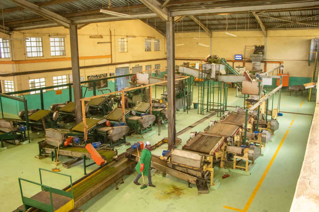 Inside the Kobel Tea Factory — photo 93