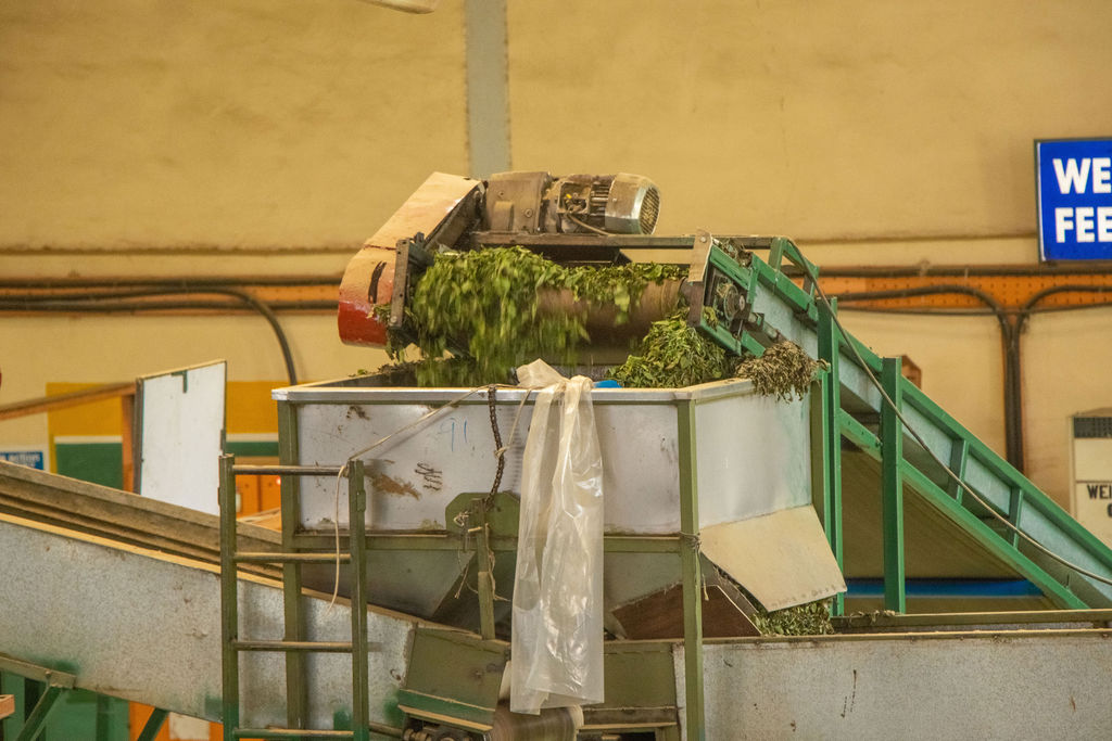 Inside the Kobel Tea Factory — photo 94