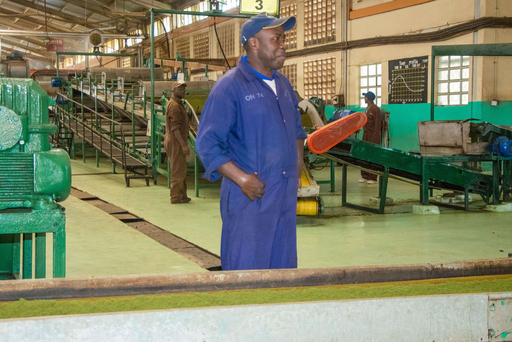 Inside the Kobel Tea Factory — photo 96
