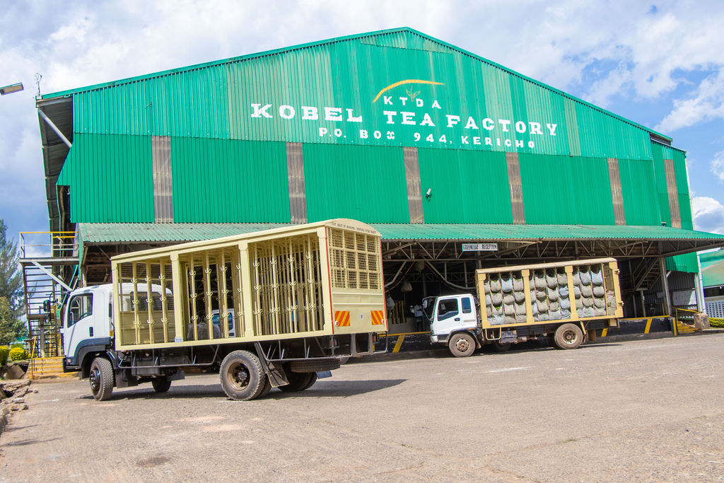 Inside the Kobel Tea Factory — photo 108