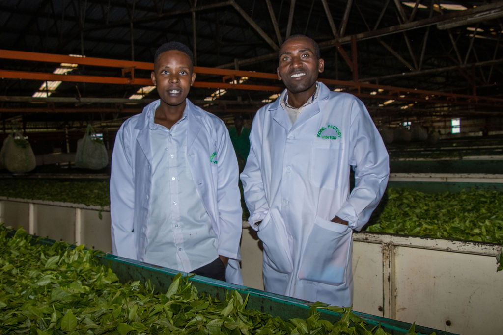 Inside the Kobel Tea Factory — photo 110
