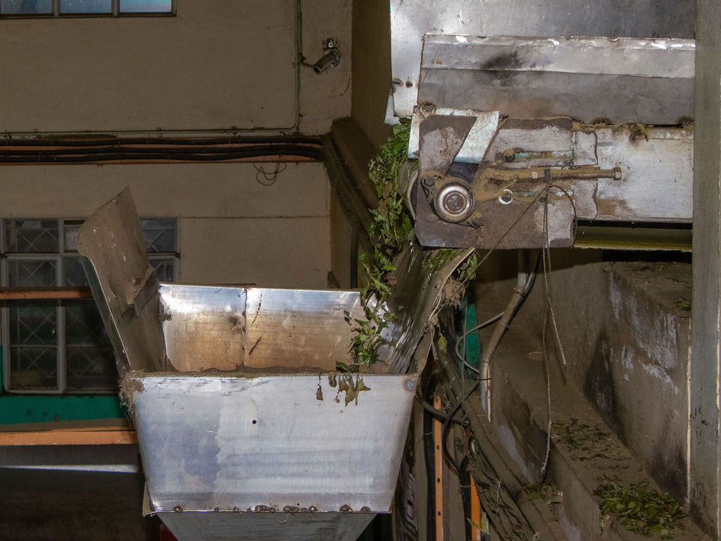 Inside the Kobel Tea Factory — photo 122