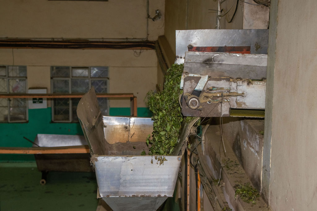 Inside the Kobel Tea Factory — photo 123