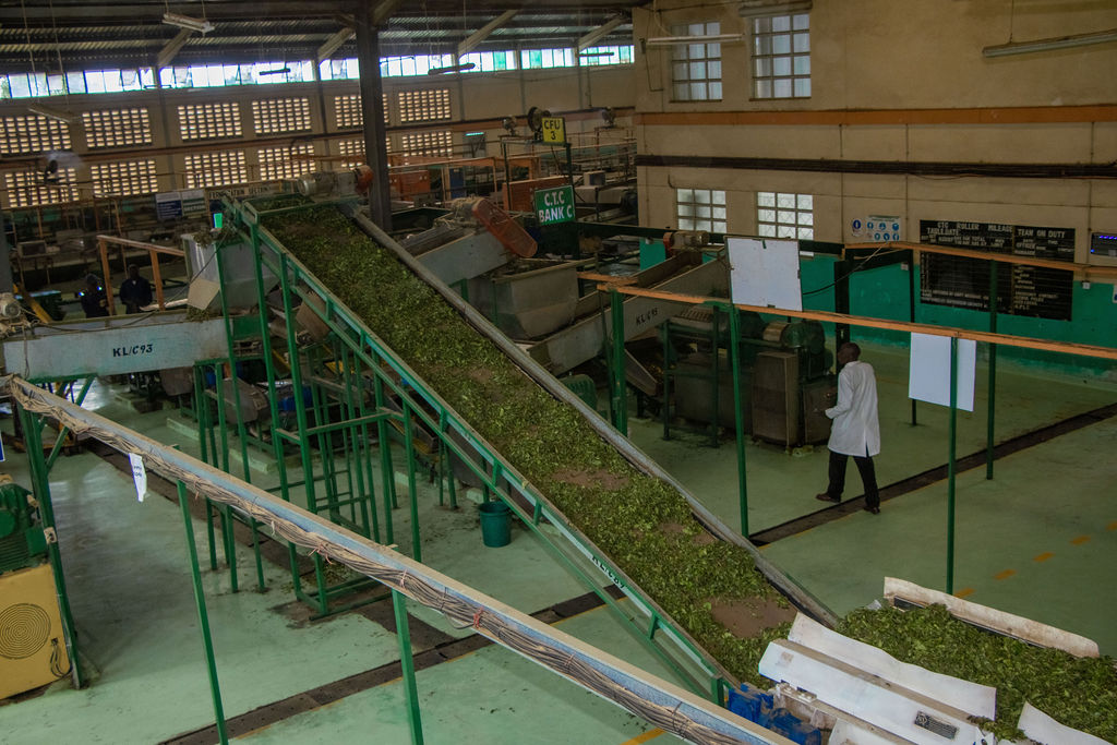 Inside the Kobel Tea Factory — photo 125