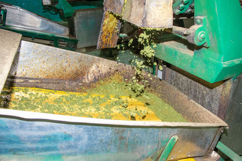 Inside the Kobel Tea Factory — photo 128